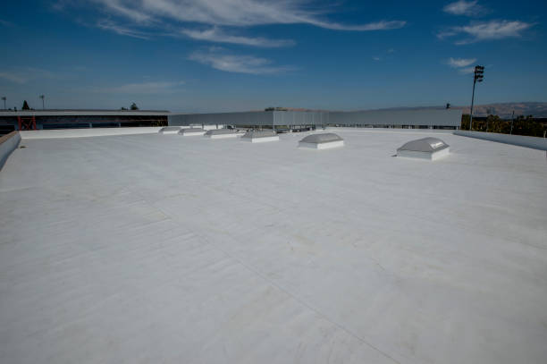 Best Roof Maintenance and Cleaning  in Pemberville, OH