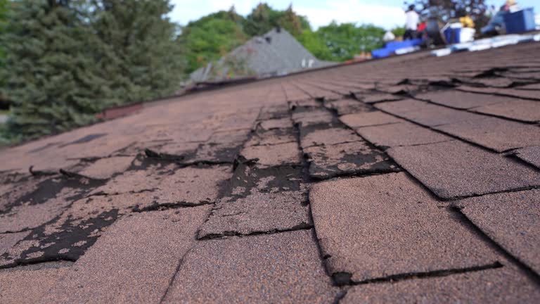 Best Metal Roofing Installation  in Pemberville, OH