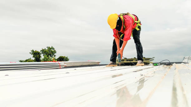 Best Gutter Replacement  in Pemberville, OH