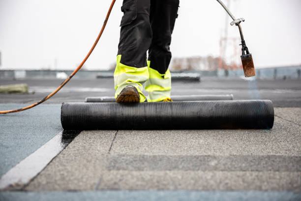 Best Skylight Installation and Repair  in Pemberville, OH