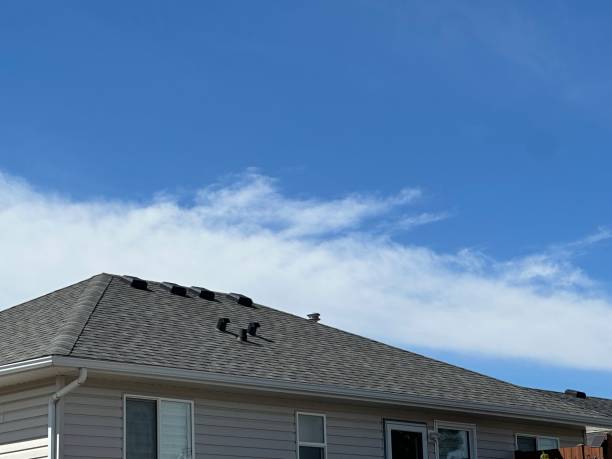 Best Sheet Metal Roofing  in Pemberville, OH